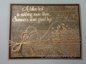 2015-11-14 01.07.51-2