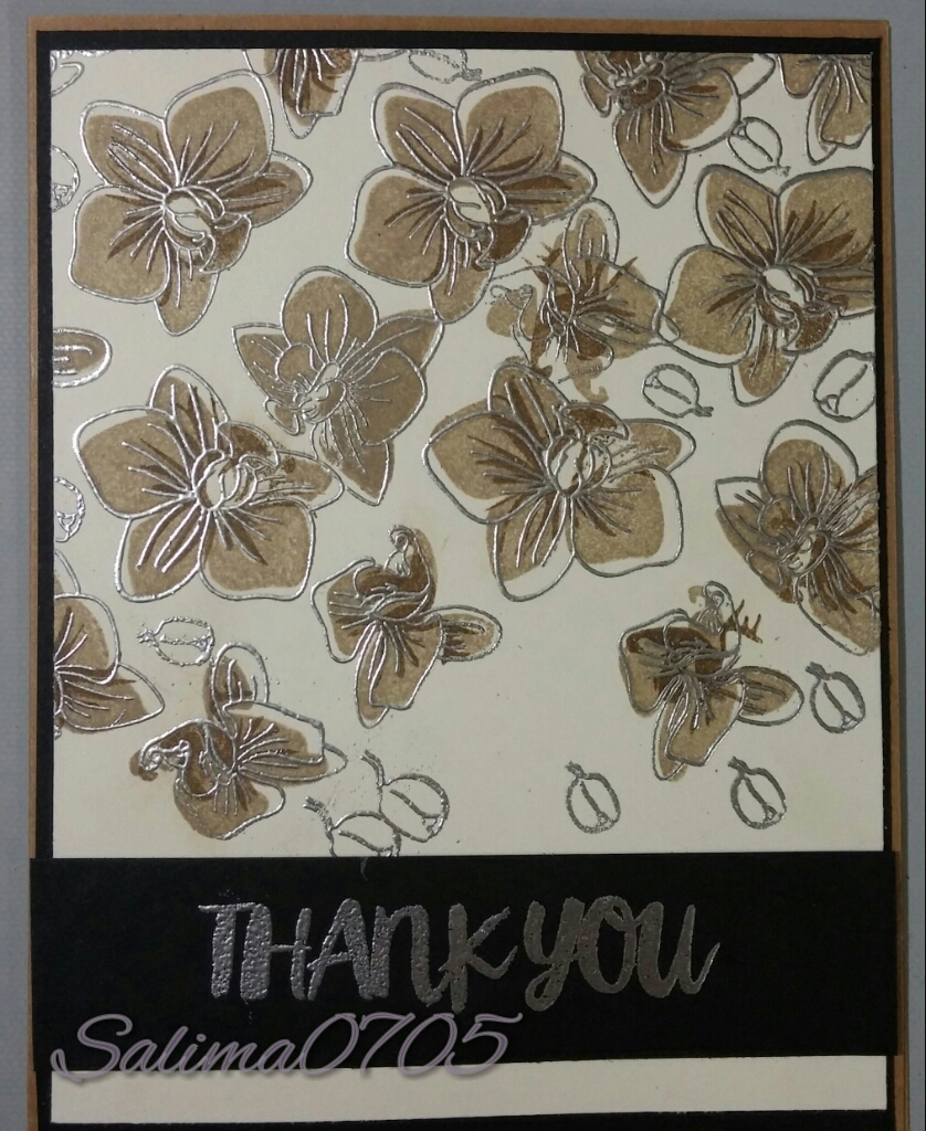 2015-11-27 20.54.00-2