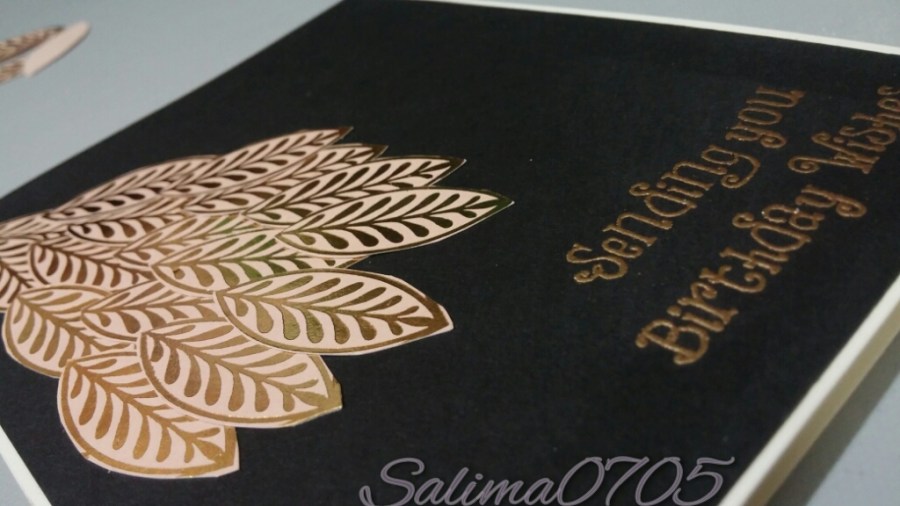 2015-11-27 22.35.32-1